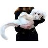 Falkor From The Neverending Story Plush Lucky Dragon Toy Pp Cotton Filling Home Decor Kids Gift