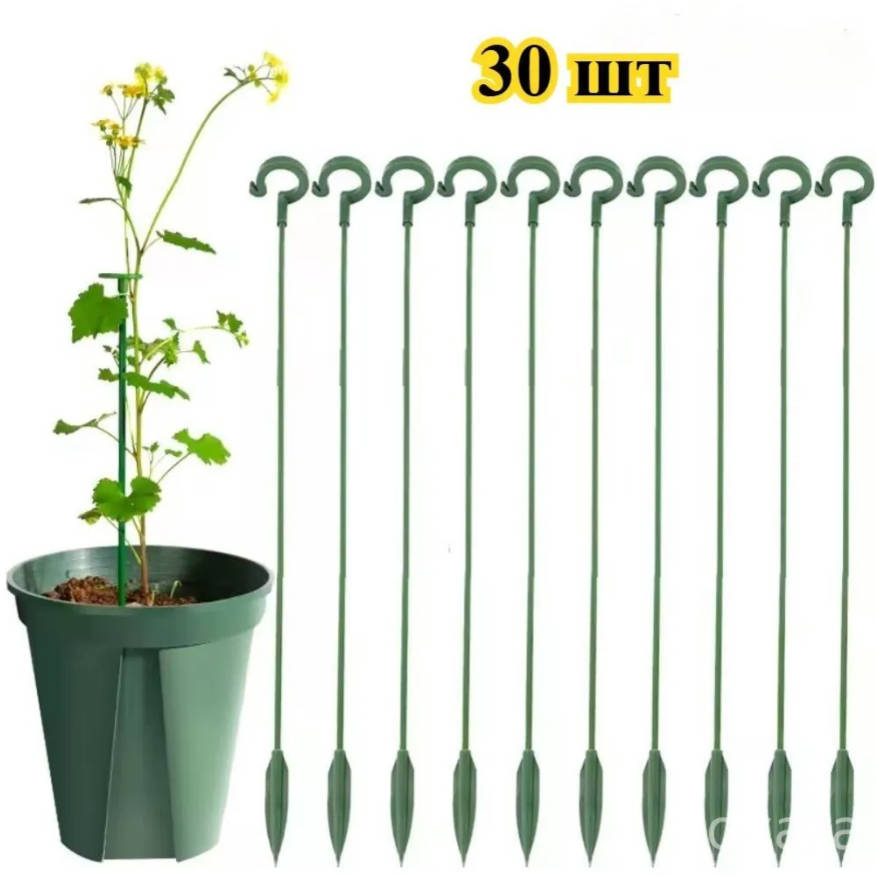 

Garden Bonsai Phalaenopsis Support Stand Phalaenopsis Support Pole For Plant Potting, Pot Frame . One Size