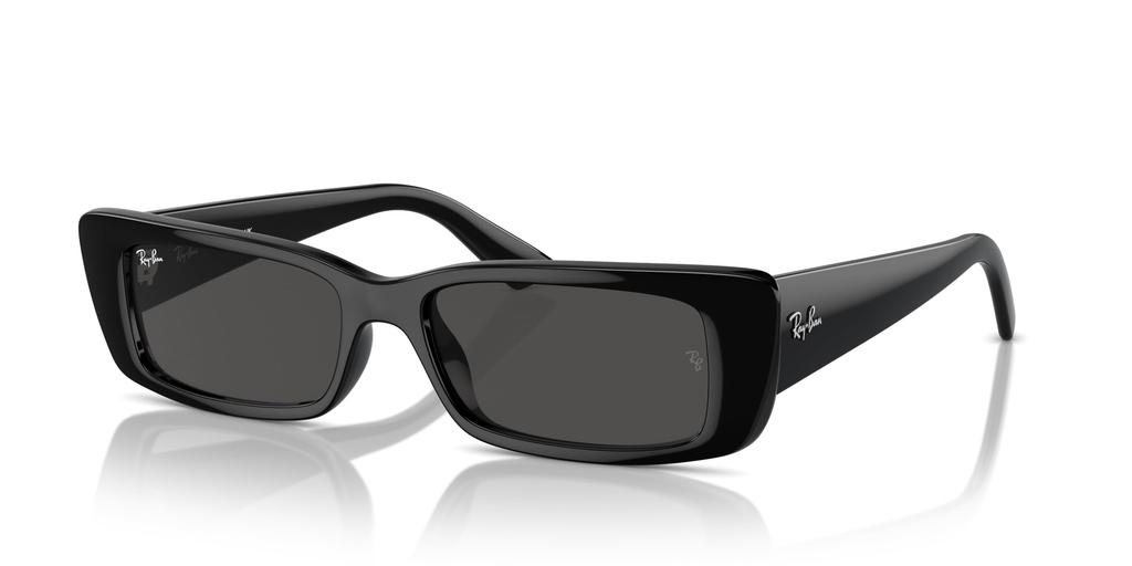 Sonnenbrille RB4425F TERU BLACK 54 Ray-Ban