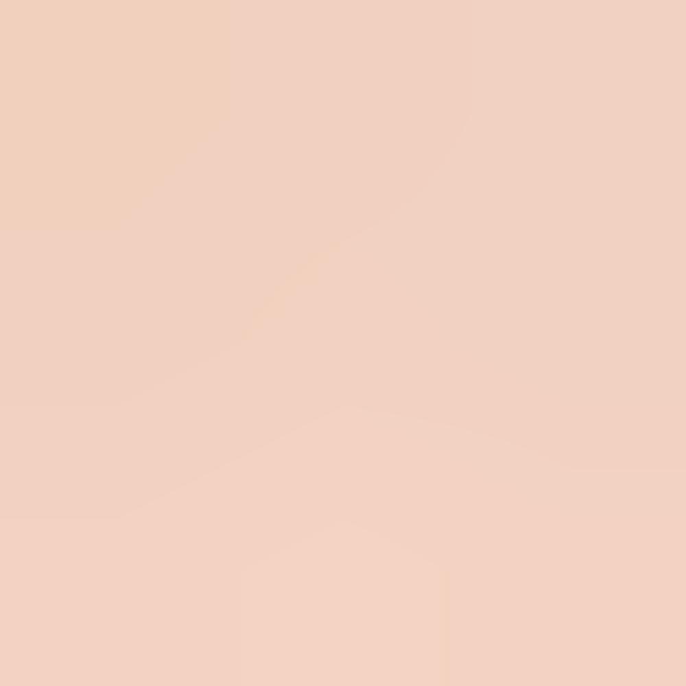 CLIO Kill Cover Founwear Cushion 15g×2 | Long-Lasting High-Coverage Cushion SPF40+ PA++++