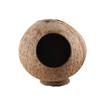 Odporny na zarysowania Domek dla chomika ze skorupy kokosowej Odporne na gryzienie Gniazdo dla chomika Zabawka do gryzienia Ćwiczenie