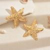 Seaside earrings summer ocean vacation wind alloy starfish earrings women's niche exaggerated earrings