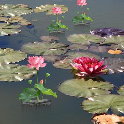 Pond Planter Floating Plant Pot 4X Floating Aquatic Mesh Breathable Planting Bags For Water Planting Indoor Garden Balcony