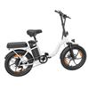 20-inch Folding Electric Bike 250W Motor 48V 16Ah Battery 25km/h 100km Range 20x3.0-inch Fat-Tire Electric Bicycle