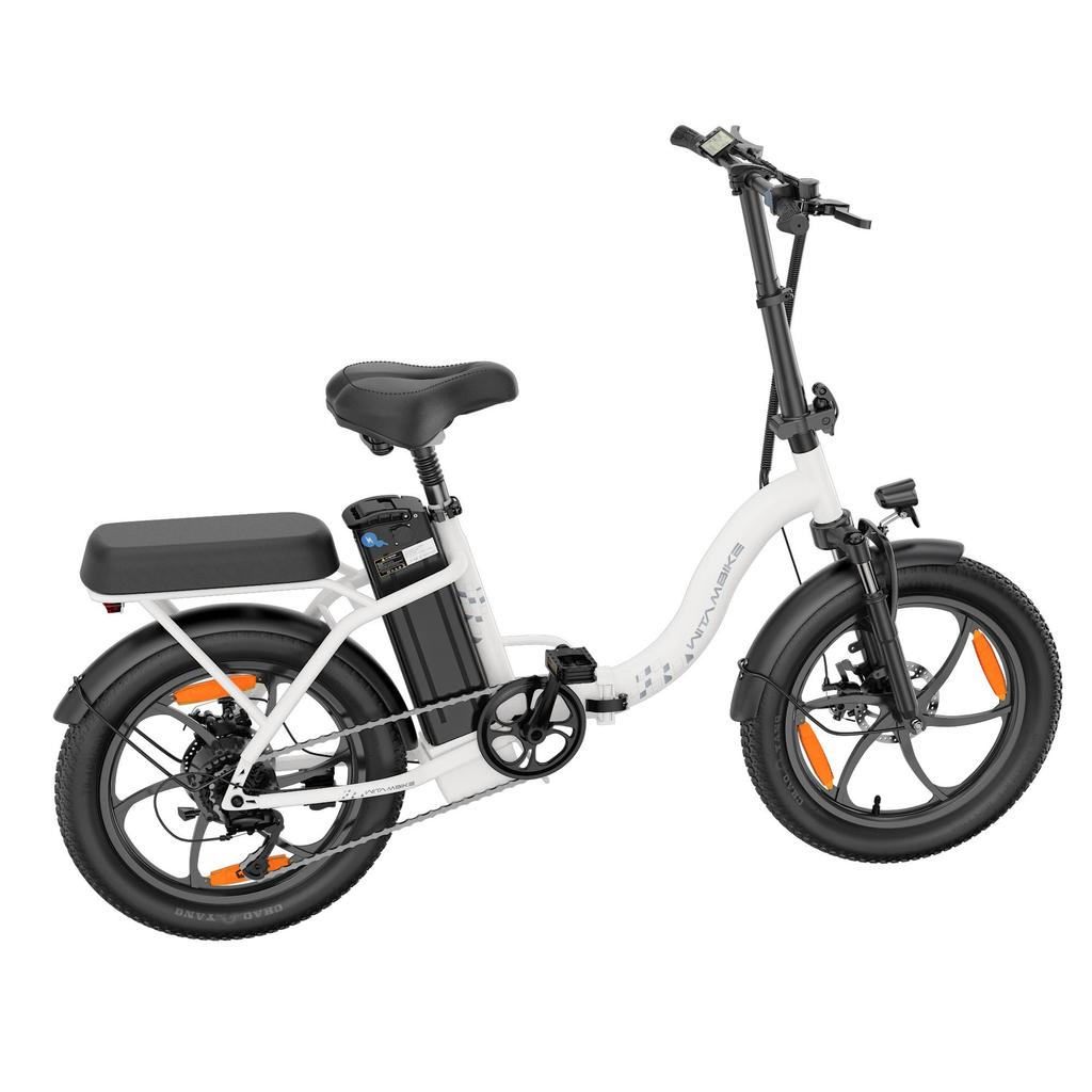 20-inch Folding Electric Bike 250W Motor 48V 16Ah Battery 25km/h 100km Range 20x3.0-inch Fat-Tire Electric Bicycle
