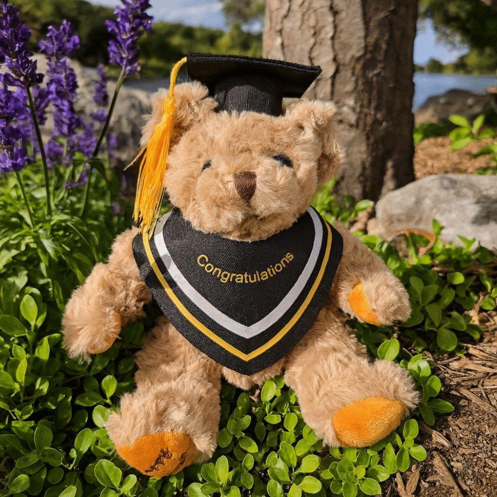 20cm Doctor Bear Doll Graduation Season Graduation Bear Surprise Gift Bear Animal Doll Room Decor