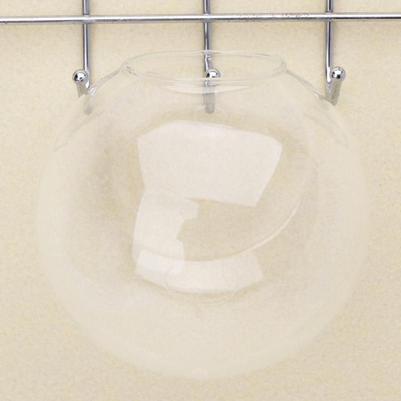 Glass Vase Wall Hanging Hydroponic Terrarium Fish Tanks Potted Plant Flower Pot Available In 8/10/12cm.
