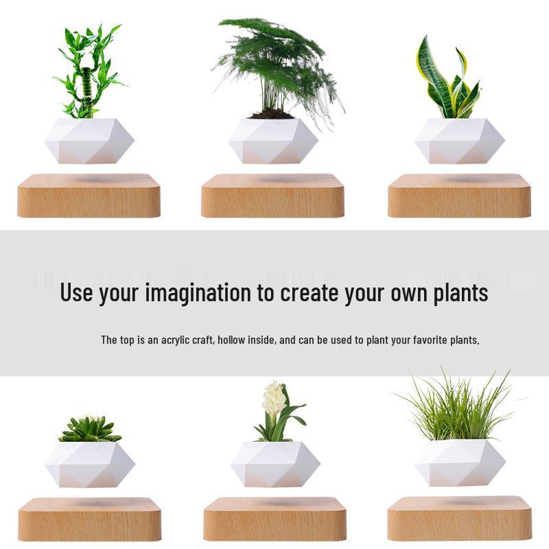 Magnetic Levitation Flower Pot for Home Decor - Creative Floating Bonsai Planter