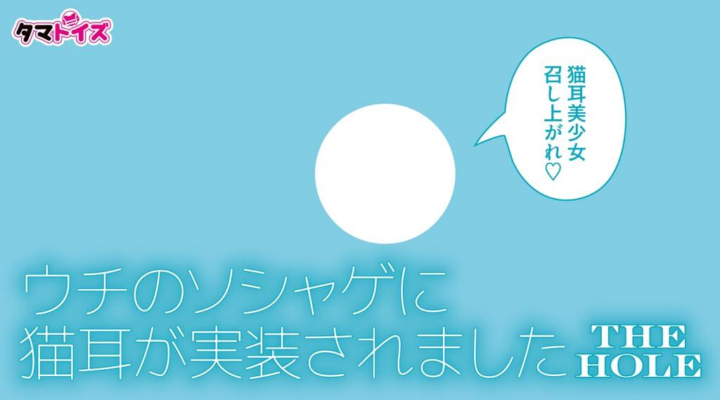 Tamatoys Cat Ears Added To Our Social Game! THE HOLE Limited Edition Acrylic Figure Included 300g Made In Japan Rikupa Non-Penetrating Masturbator