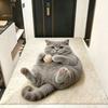 Tappetino per Pavimento Silicoflora con Visione Gatto 3D, Tappetino per Pavimento Bagno di Casa, Tappetino per Piedi Assorbente d'Acqua ad Asciugatura Rapida, Tappetino da Bagno Facile da Pulire