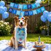 Pet Birthday Party Decoration Kit Dog Bandana Hat Banner Flag Number Set Includes Balloons Bow Tie Tape Suitable for Pet Celebrations
