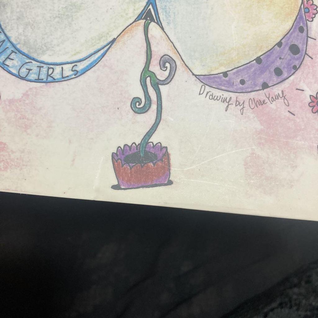 [USED] Limited Edition TWICE PAGE TWO CD Album Chaeyoung Sleeve