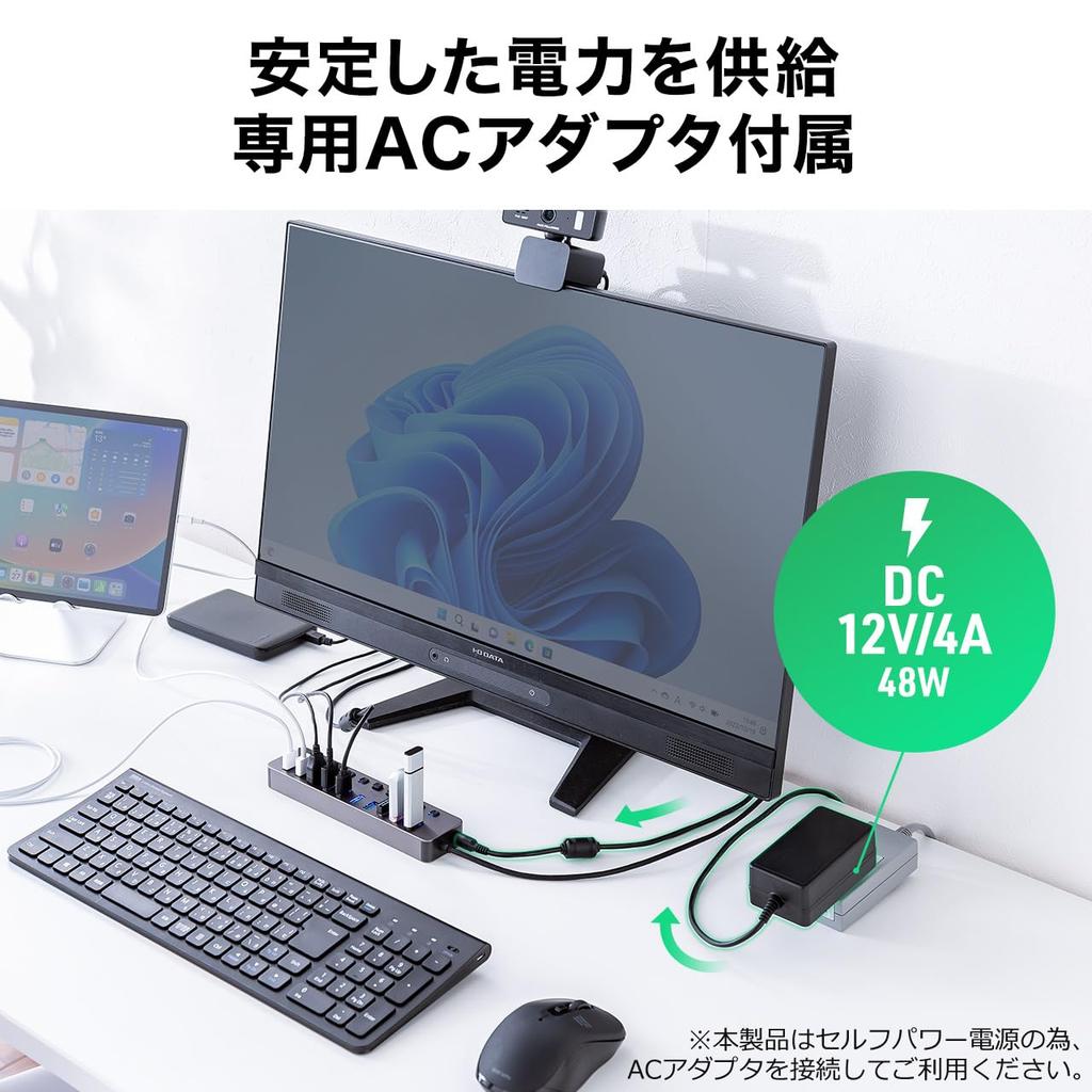 Sanwa Direct USB Hub with Individual USB and AC Adapter 10-Port Self-Powered Switches, 3.2/5Gbps, (400-HUBA23GM)