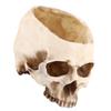 1pc Resin Skull Head Design Flower Pot Planter Container Decoration