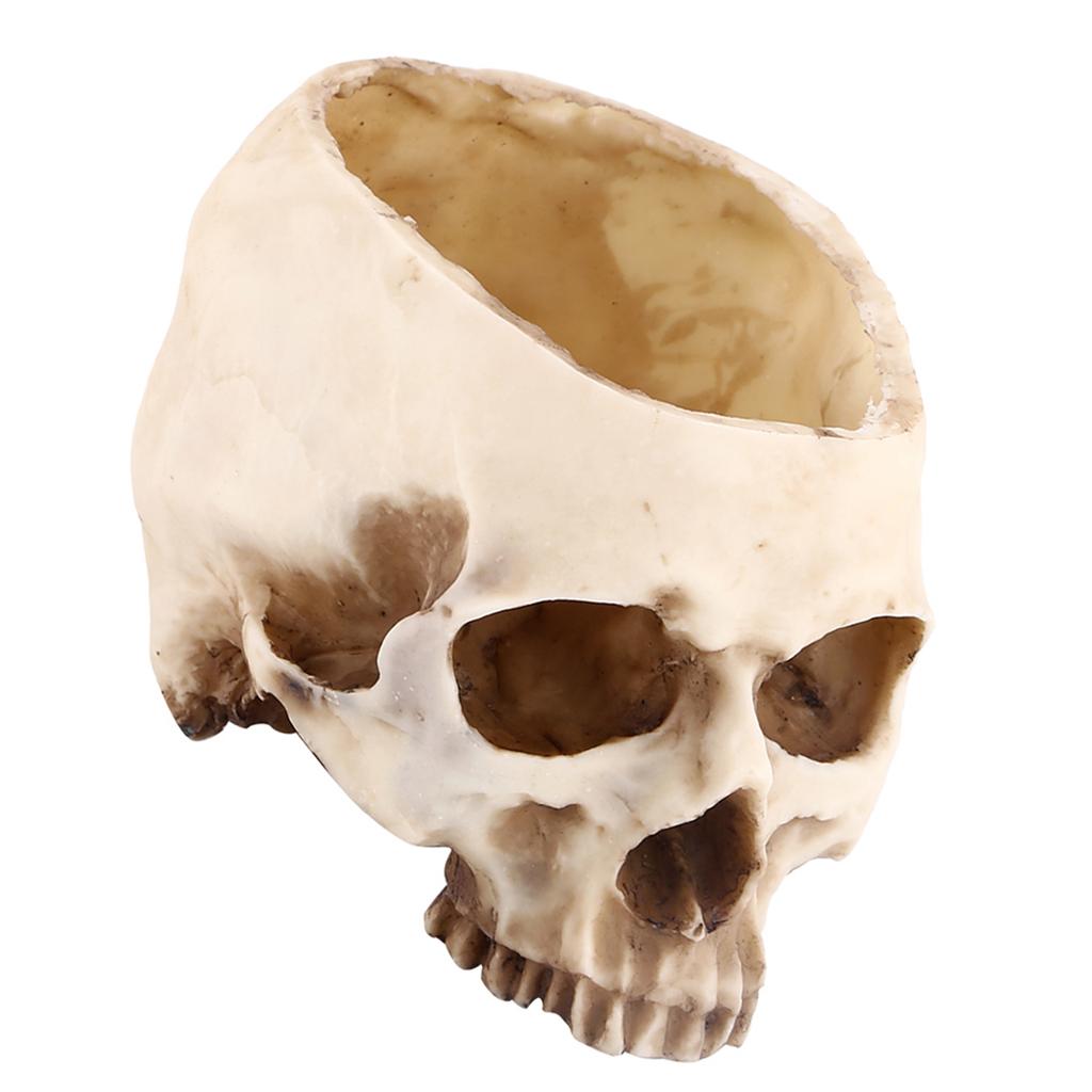 1pc Resin Skull Head Design Flower Pot Planter Container Decoration
