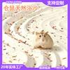 Silica Bath Sand for Hamsters & Chinchillas - Deodorizing, Oil-Absorbing Pumice Cleaning Litter