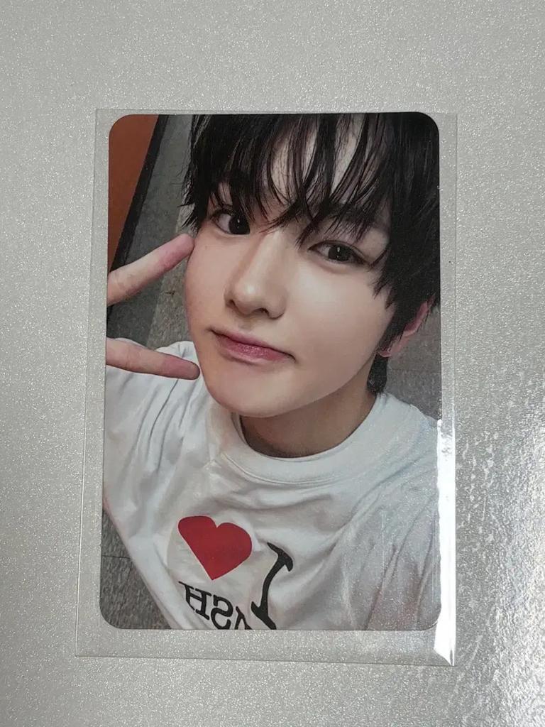 NCT Wish Steady T-shirt, Mdpoca Sakuya