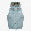 The North Face Nv1dr60b Sierra Down Vest  Rds  Jade