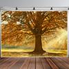 One Oversized Autumn Sunshine Tree Landscape Photo Background Wall, Polyester, for Family Room Party