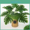 Greenery Wall Decor With Artificial Monstera Deliciosa Liebm Plants For Home Office Interior Design