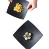 New Ceramic Plates, Home Dishes, Japanese Private Dishes, Premium Dim Sum, Sashimi Plates