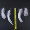 50PCS 5-12cm Natural Goose Feathers Bulk for DIY Crafts Wedding Costume Hair Accessories Party Decorations