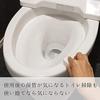 Reck Gekiochi Double Poi (Melamine Sponge)
