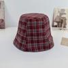 Designer Suede Bucket Hat Women's Winter Warm and Cold Ear Protector Basin Hat Double-sided Plaid Versatile Bucket Hat