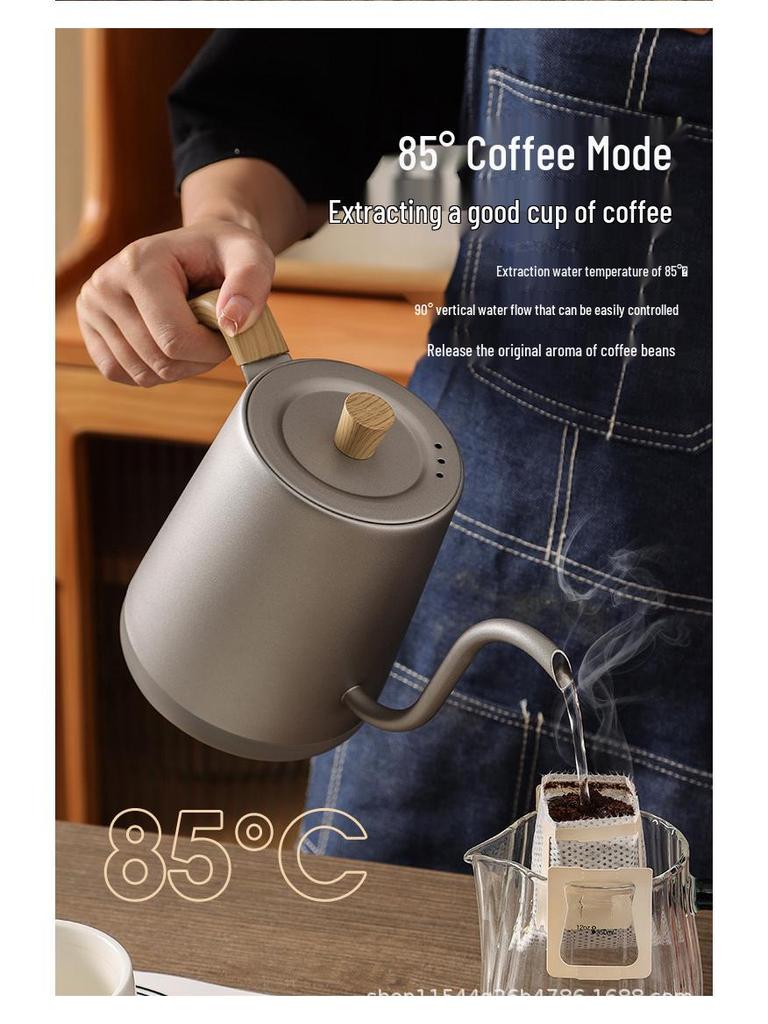 Stainless Steel Electric Gooseneck Kettle with Temperature Control