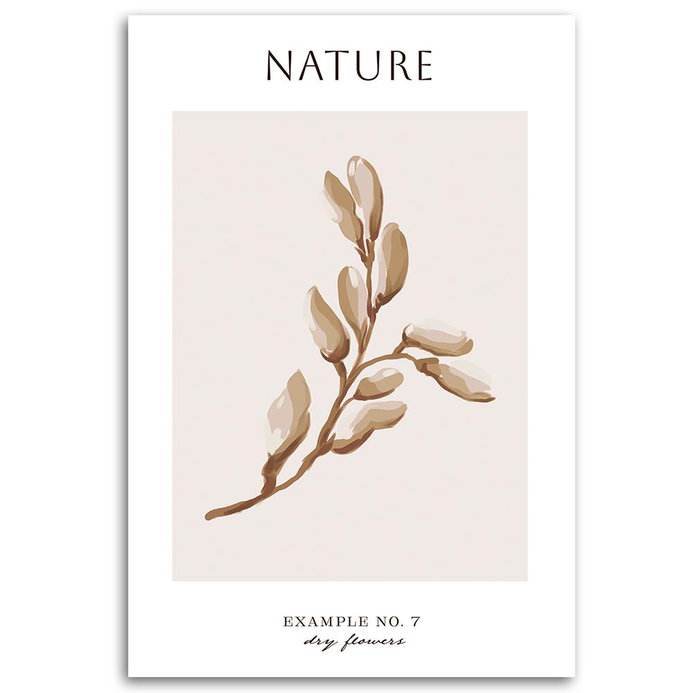 Canvas print, Dried flower - Nature