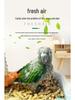 Chick Bedding Set: Deodorizing Wood Pellets, Sawdust, and Corn Cob for Nesting and Breeding