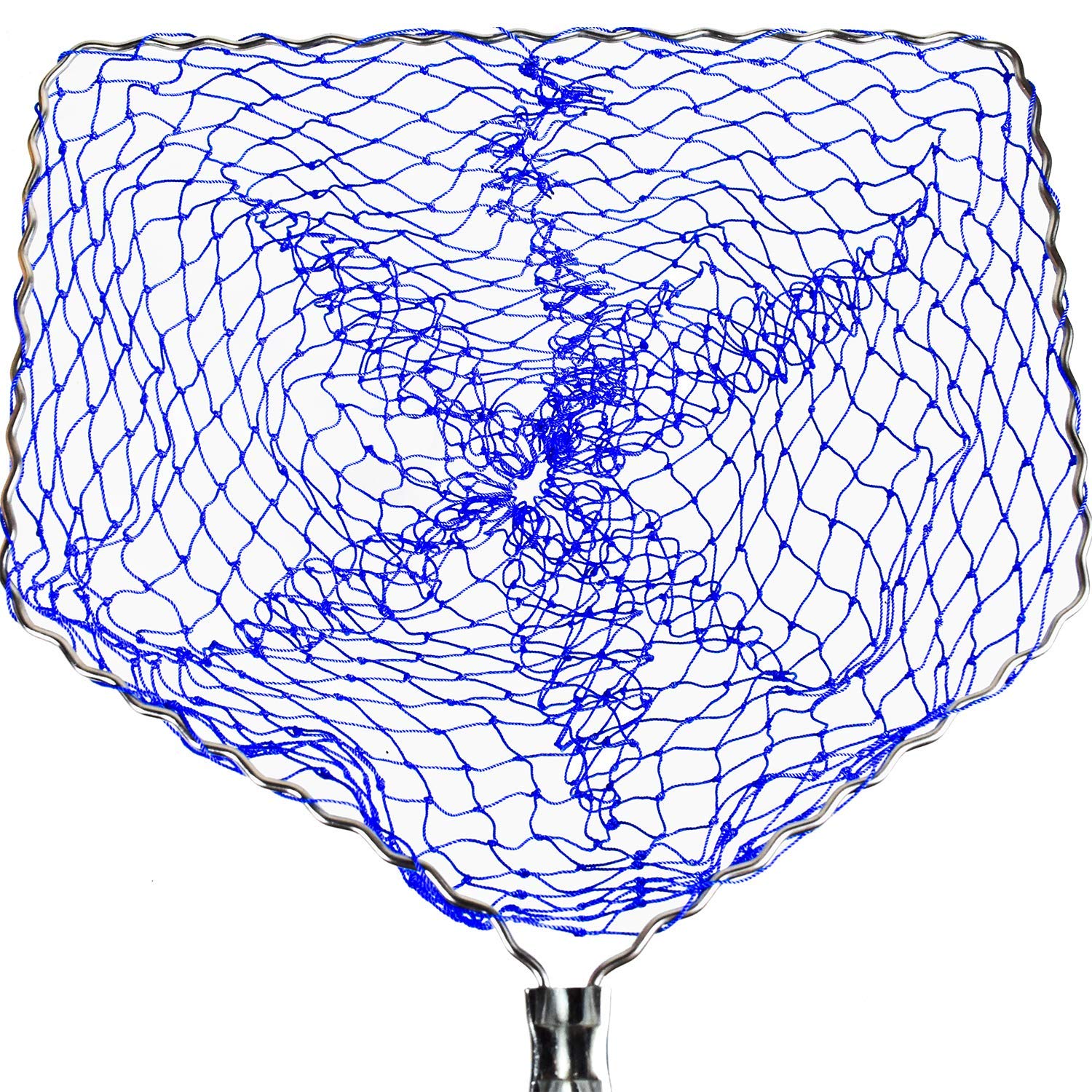 

Butterfly Ball Amigo Head 70820 Blue синій