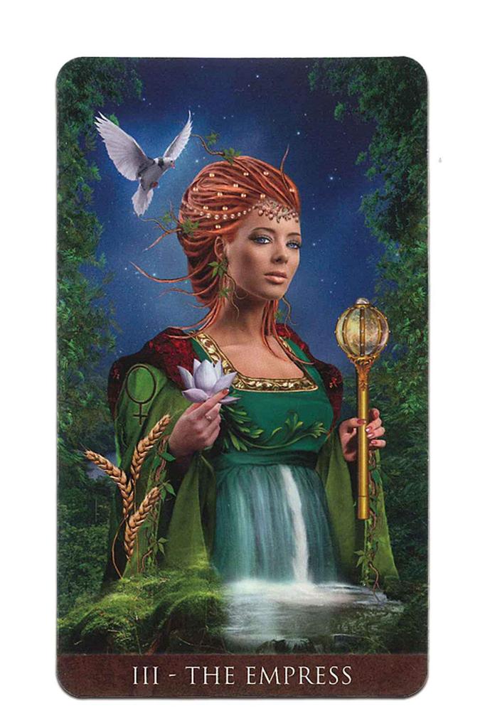 Tarot Card Set with Japanese Commentary Waite Rider Edition 78-card [Official Import] [Arcanum Tarot] "Pocket Manual"