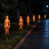 Realistic Skeleton Stakes for Yard 2Pcs Solar Stake Light, Halloween Glowing Figurine, Waterproof Festive Garden Decor Trick or Treat Outdoor