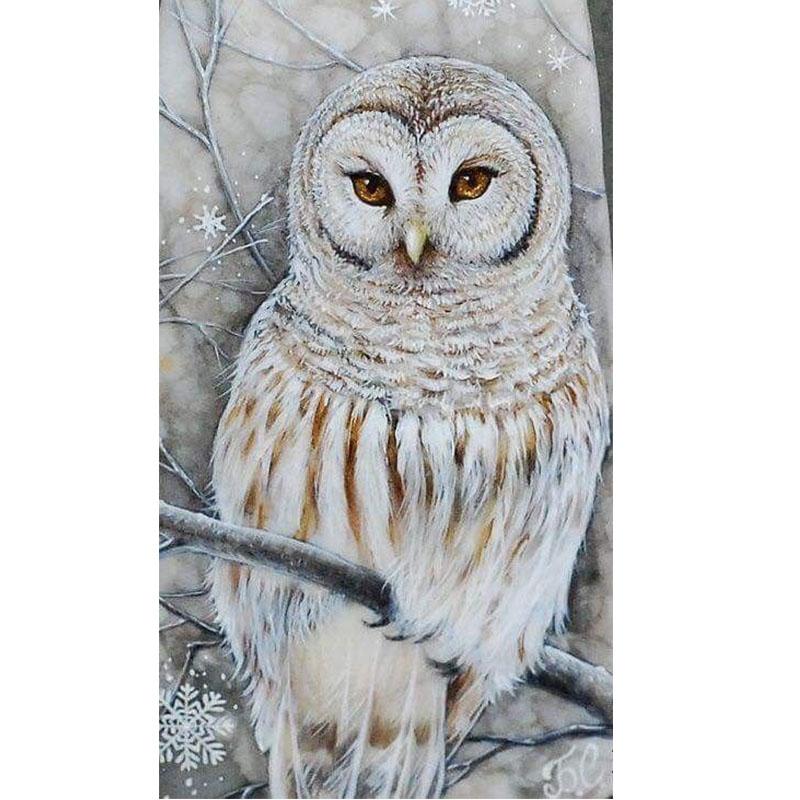 Owl DIY 5D Diamond Painting Cartoon Diamond Animal Diamond Embroidery Cross Stitch Full Round Resin Manual Art Gift Home Decor