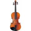 Braviol V10G Violin