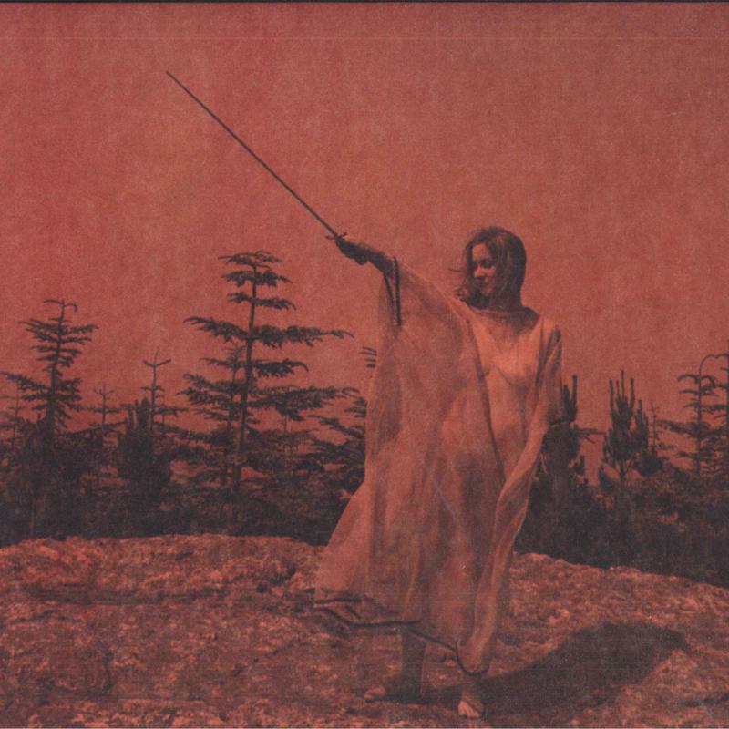 

LP Record UNKNOWN MORTAL ORCHESTRA - II JAG232 Jagjaguwar 2021 UK Rock