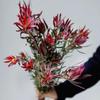 South African Wood Lily & Monstera Silk Wedding Flower Arrangement