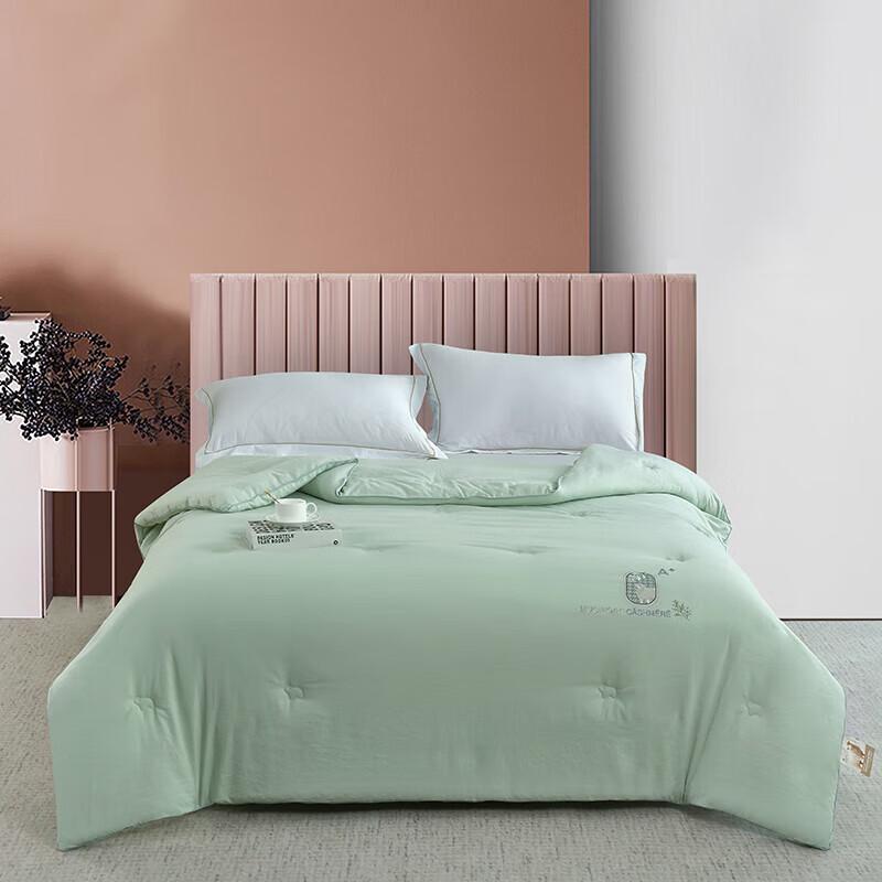 

Xuanyu Home All-Season Artemisia Argyi & Cashmere-Feel Quilt
