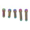 5Pcs Derailleur Screws M4 3Pcs 13.5 2Pcs 20mm Titanium Alloy Rustproof Easy Installation Cage Screws for Mountain Bike