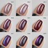 2025 Chameleon Cat Eye UV Gel Nail Polish Set for Salon Manicures