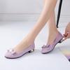 Women Shoes Elegant Shallow Low Heel Shoes Loafers Woman Casual Slip-on Pumps Ladies Comfort Footwear Zapatos De Mujer