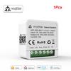 Matter WiFi Smart Switch 16A Smart Home Light Switch Relay Module Voice Control Work with Alexa Google Homekit Smartthings Tuya