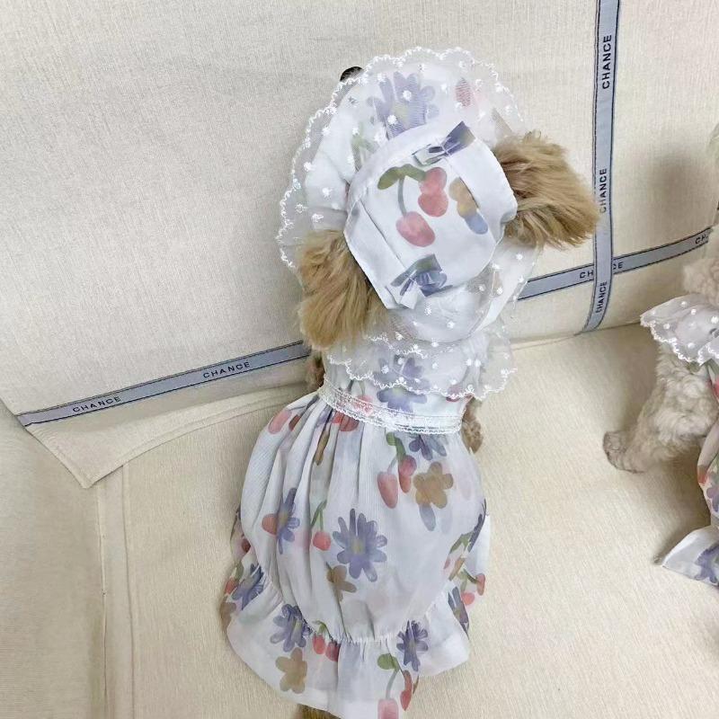 New, Cat Clothes, Spring and Autumn Anti-hair Loss Dog Clothes, Puppet Cat Clothes, Bigger Than Bear Skirts, Princess Style