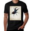Albrecht Drer Stag Beetle Tshirt Construction Work Tee Shirt