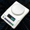 Precision Digital Jewelry Scale