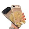 Silver High-End iPhone 17 Air/Pro/Pro Max Case for Wealth Attraction