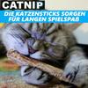 CATNIP Matatabi Chew Sticks Cats Wood Catnip Catnip Dental Care Teeth 20pcs
