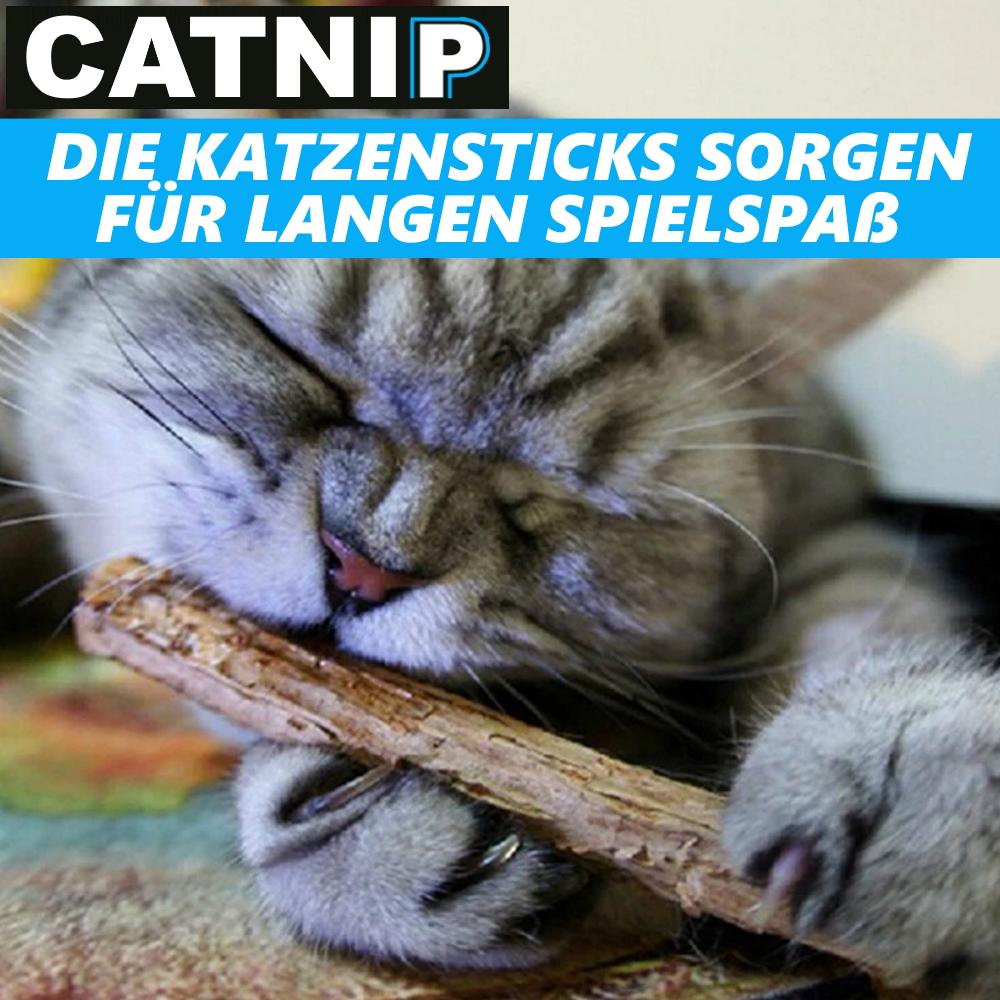 CATNIP Matatabi Chew Sticks Cats Wood Catnip Catnip Dental Care Teeth 20pcs