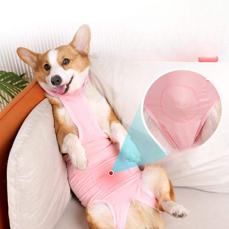 Pet Clothing, Dog Postoperative Recovery Clothing, Medium and Large-sized Dog Sterilization Clothing, Weaning and Lacing Style, Anti-licking